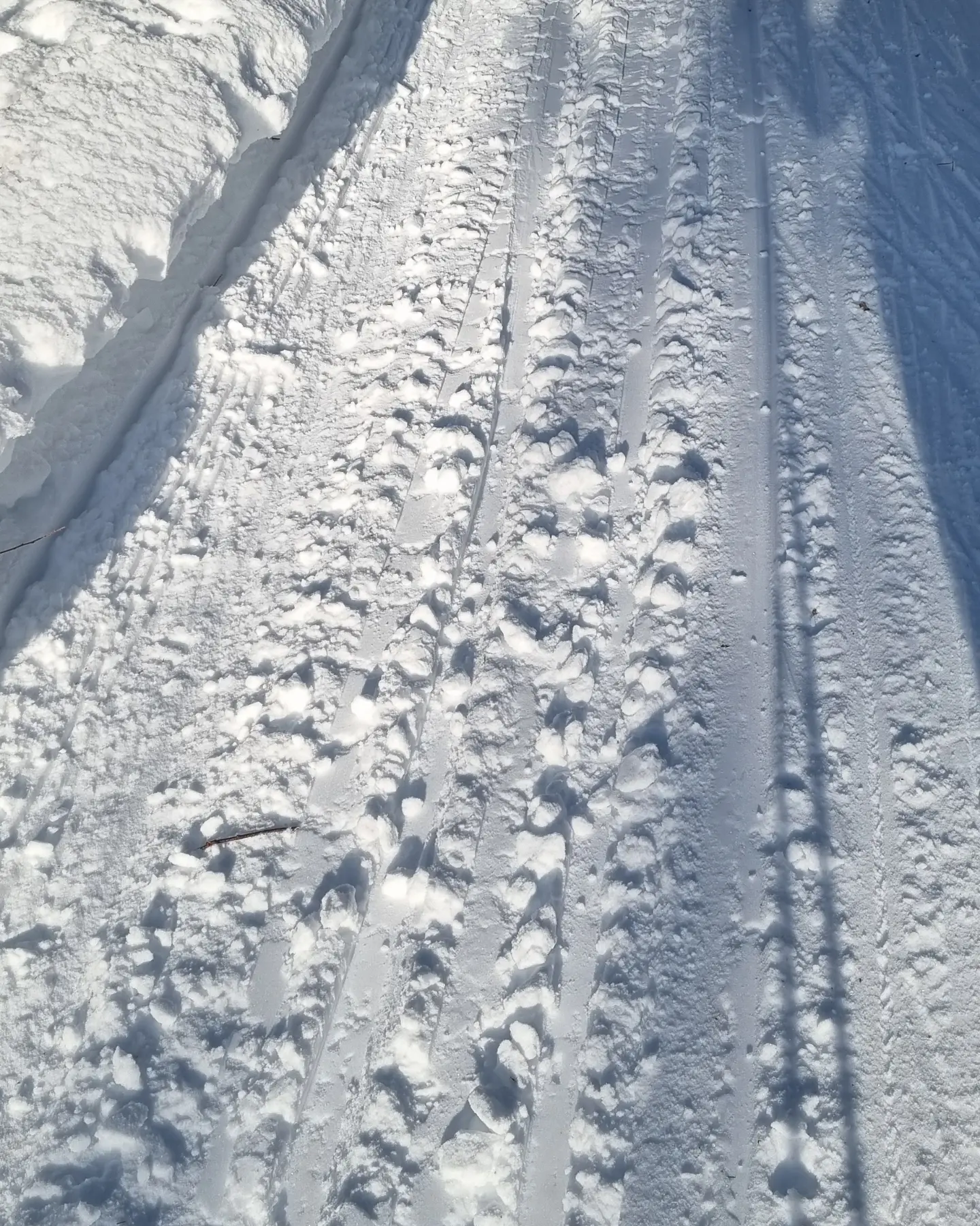 Latukone pilasi latu-urat :(